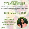 Gyógynövényklub: veganuár