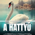 A hattyú