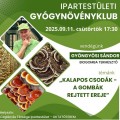 Kalapos csodák - A gombák rejtett ereje