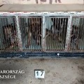 Közel negyven kutyát tartott sanyarú körülmények között