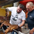 III. Vad-gasztró fesztivál