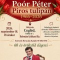 Poór Péter: Piros tulipán