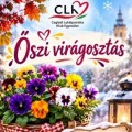 Őszi virágosztás