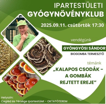 Kalapos csodák - A gombák rejtett ereje