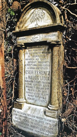 Cseh Frerencz és Balog Lidia 1876